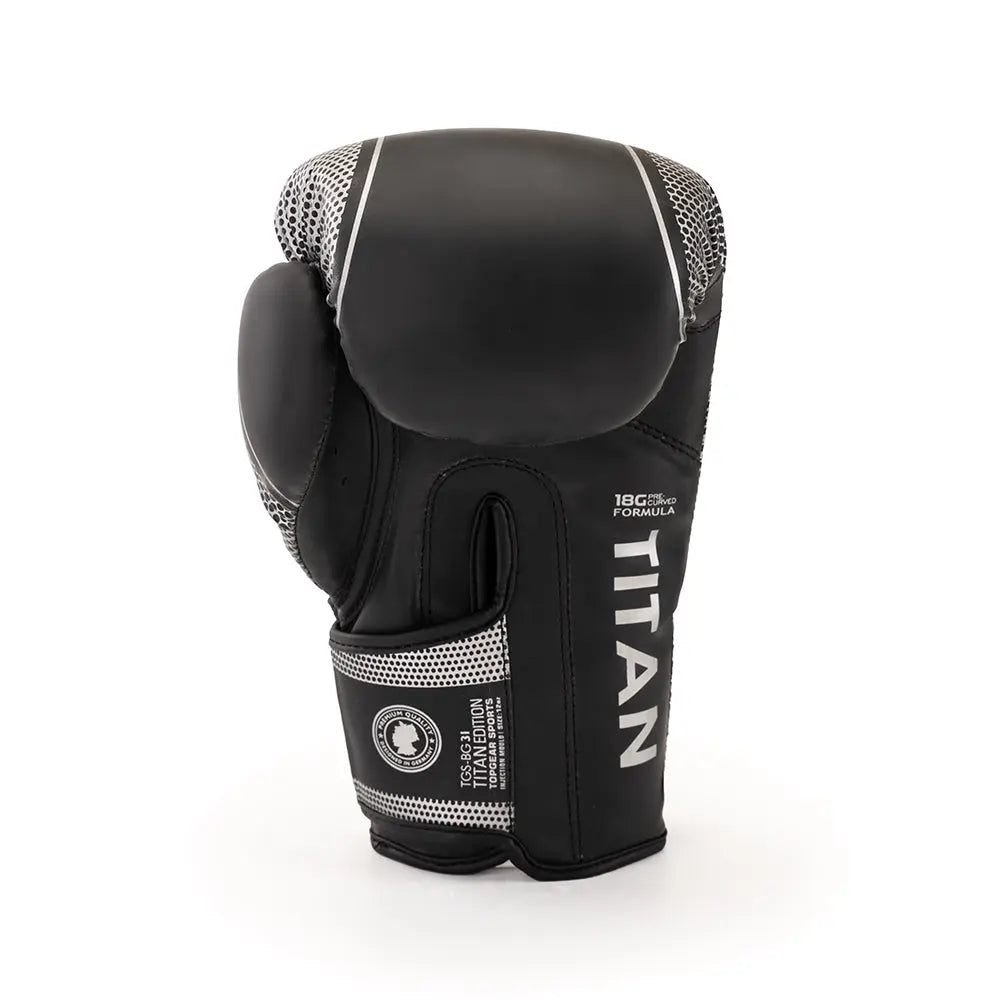 Titan-boxing-Gloves-Silver