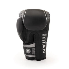 Titan-boxing-Gloves-Silver